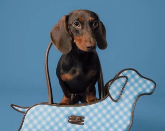 Stylish Dachshund Shoulder Bag – Compact and Cute for Dog Lovers