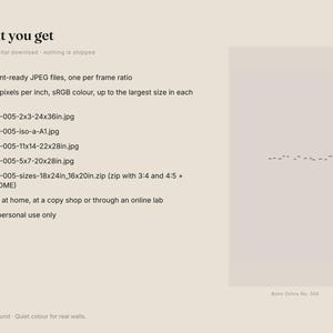May include: A digital product information sheet titled What you get, listing six print-ready JPEG files with various frame ratios, 300 pixels per inch, and sRGB color. The beige document includes file names like BOH-005-2x3-24x36in.jpg and BOH-005-iso-a-A1.jpg.