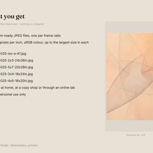 May include: A digital download listing titled What you get, featuring a list of five print-ready JPEG files with specific dimensions in inches, including 24x36in and 16x20in. To the right, a rectangular graphic displays abstract beige curved lines.