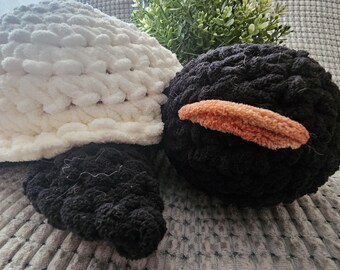 Tortuga - Blanco y negro