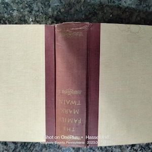 The Family Mark Twain