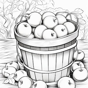May include: A black and white line drawing of a wooden basket filled with apples. The basket is sitting on a wooden surface with more apples scattered around it.