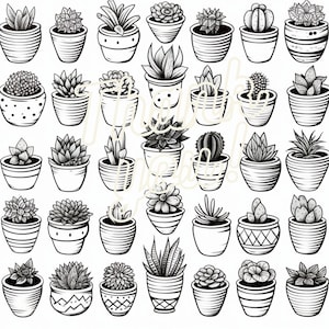 Succulent Serenity - 4 digital coloring pages