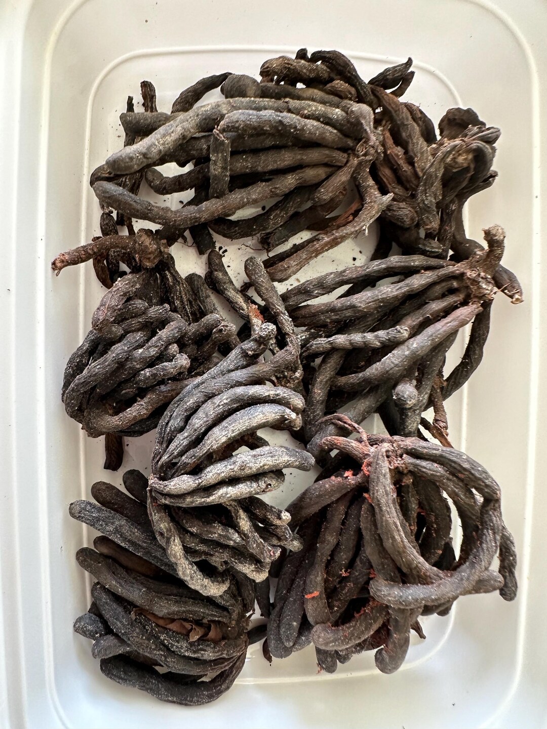 Negro Pepper/uda /african Whentiaa/spices/herbs - Etsy