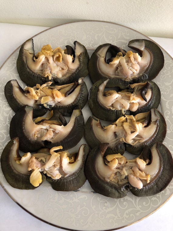 Fresh Frozen Jumbo Snails - Ready to Cook 1lb. - Etsy