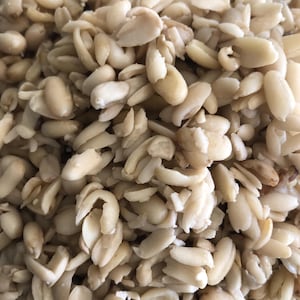 May include: A close-up of a bowl filled with peeled, blanched peanuts. The peanuts are light brown in color and have a slightly wrinkled texture.