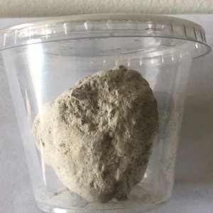 May include: A light gray, irregularly shaped rock is contained within a clear plastic cup with a lid. The rock has a rough, textured surface and appears to be a natural stone. The cup is transparent, allowing a full view of the rock.