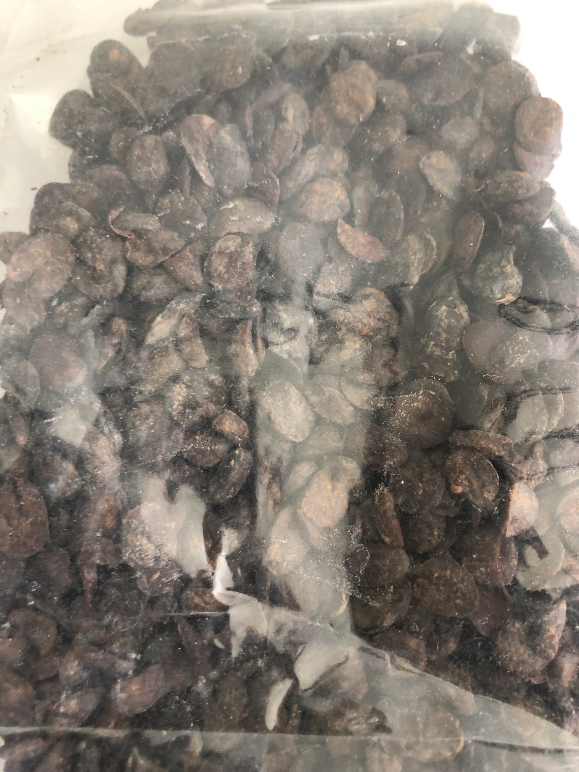 Dry Iru/dry Locust Beans 5oz. Etsy