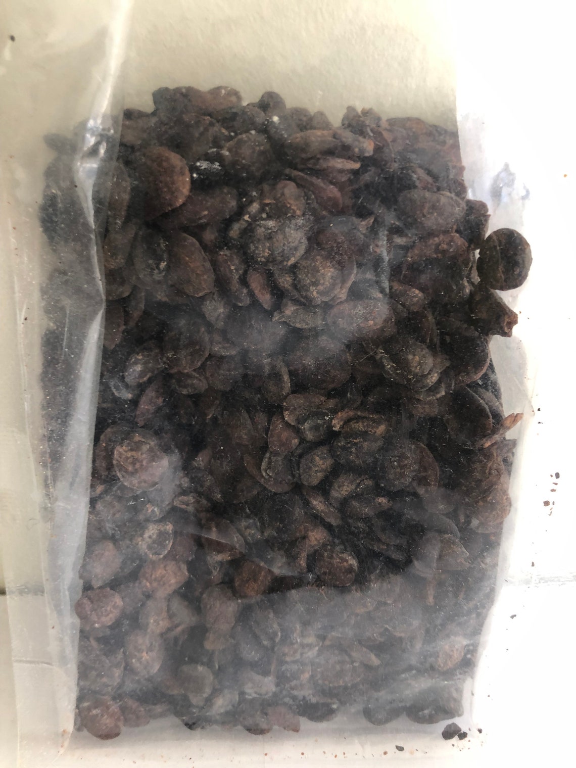 Dry Iru/dry Locust Beans 5oz. Etsy