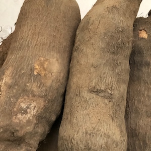 Fresh Ghana New Yam/Sweet Ghana Yam (Puna).