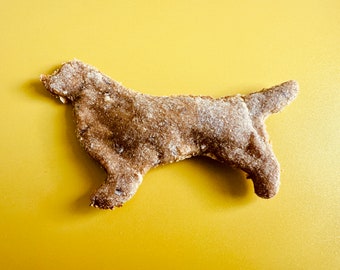 Hundeleckerli, Retriever, Thunfisch Cookies, Hundesnack, Hundekuchen, Hundekekse, Belohnung, Geschenk für Retriever, Hundekekse gebacken,