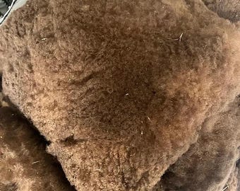 Vellón Moorit de leche de castillo crudo / Lana británica de raza rara para hilado / Fibra sin lavar para hilado y fieltrado / Lana de herencia británica