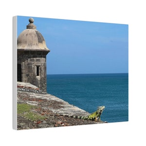 May include: A canvas print featuring a coastal scene. A stone structure with a domed roof sits on a stone wall overlooking the ocean. A green iguana with black stripes is perched on the wall. The sky is a clear blue.