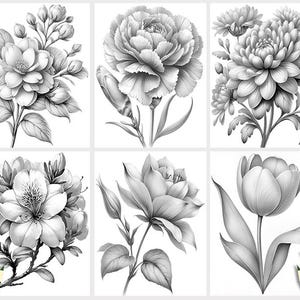 Puede incluir: Un conjunto de seis dibujos en blanco y negro de diferentes flores. Cada dibujo est&aacute; enmarcado en un cuadrado blanco. Las flores incluyen un clavel, un crisantemo, una camelia, un tulip&aacute;n, una rosa y un lirio.