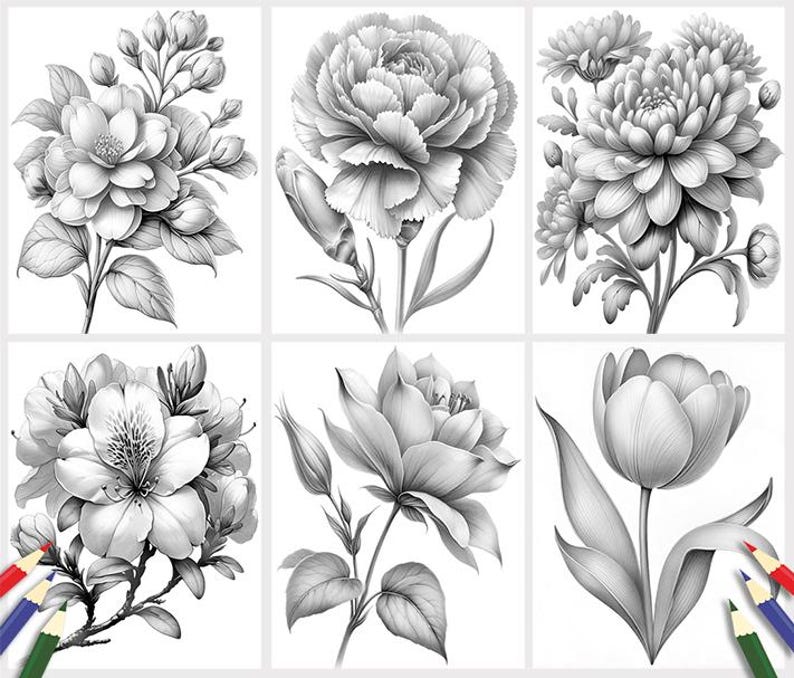 Puede incluir: Un conjunto de seis dibujos en blanco y negro de diferentes flores. Cada dibujo est&aacute; enmarcado en un cuadrado blanco. Las flores incluyen un clavel, un crisantemo, una camelia, un tulip&aacute;n, una rosa y un lirio.