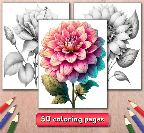 50 Flowers Coloring Pages: Grayscale Floral Illustrations, Digital Download (Printable PDF File)