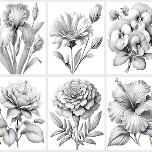 Puede incluir: Un conjunto de seis dibujos en blanco y negro de diferentes flores. Las flores incluyen un iris, una margarita, una pensamiento, una rosa, una cal&eacute;ndula y un hibisco.