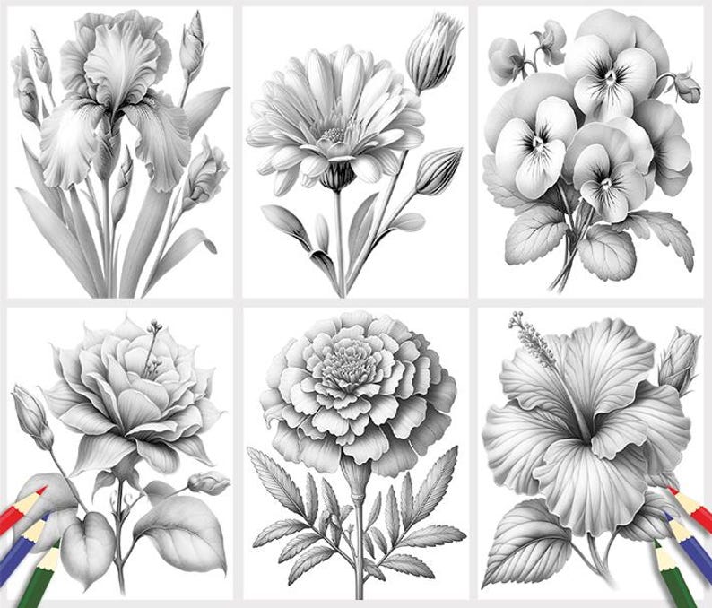 Puede incluir: Un conjunto de seis dibujos en blanco y negro de diferentes flores. Las flores incluyen un iris, una margarita, una pensamiento, una rosa, una cal&eacute;ndula y un hibisco.
