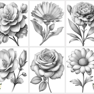 Puede incluir: Una colecci&oacute;n de seis dibujos a l&aacute;piz en blanco y negro de diferentes flores. Las flores incluyen una rosa, una margarita, un clavel y algunas otras.