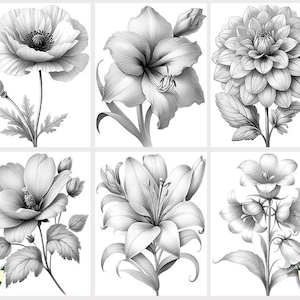 50 Dibujos de Flores para Colorear: Ilustraciones Florales en Escala de Grises, Descarga Digital (Archivo PDF Imprimible) imagen 4