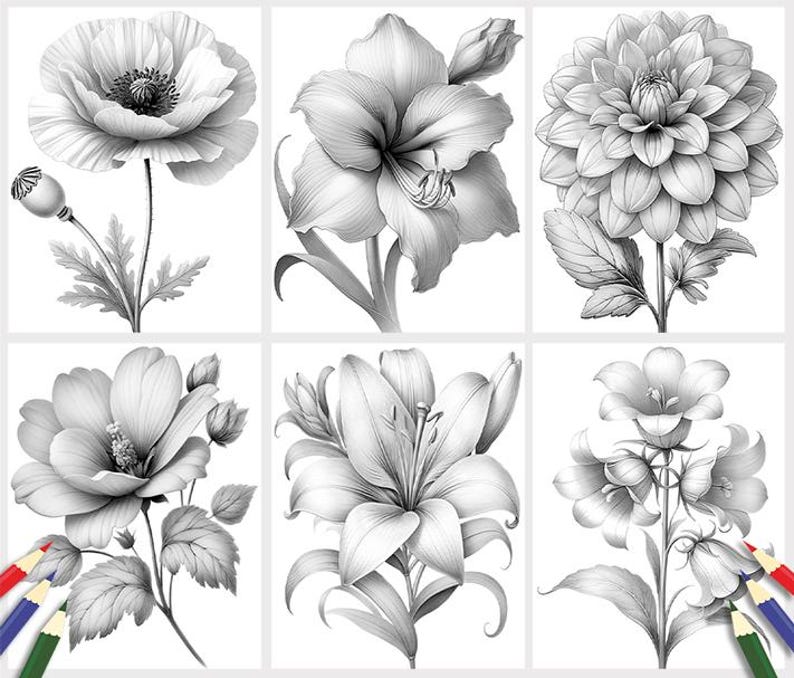 50 Dibujos de Flores para Colorear: Ilustraciones Florales en Escala de Grises, Descarga Digital (Archivo PDF Imprimible) imagen 4