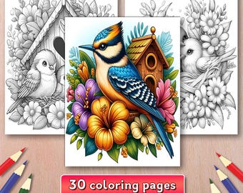 Birds Coloring Book: 30 Enchanting Birdhouse Pages (Printable PDF)
