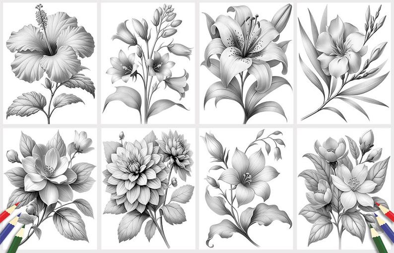 Puede incluir: Una colecci&oacute;n de ocho dibujos a l&aacute;piz en blanco y negro de diferentes flores. Las flores incluyen un hibisco, una campanilla, un lirio, un magnolio, una dalia, una gardenia, una camelia y una rosa.