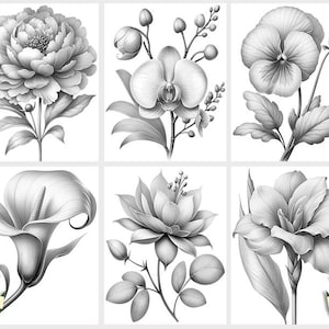 50 Dibujos de Flores para Colorear: Ilustraciones Florales en Escala de Grises, Descarga Digital (Archivo PDF Imprimible) imagen 7