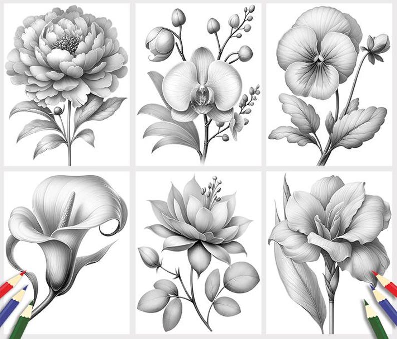 50 Dibujos de Flores para Colorear: Ilustraciones Florales en Escala de Grises, Descarga Digital (Archivo PDF Imprimible) imagen 7