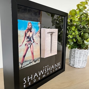 Shawshank Redemption Movie Prop Art