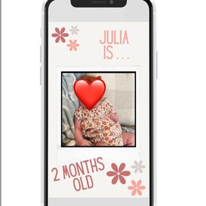 Monthly Milestone Editable Template - Groovy