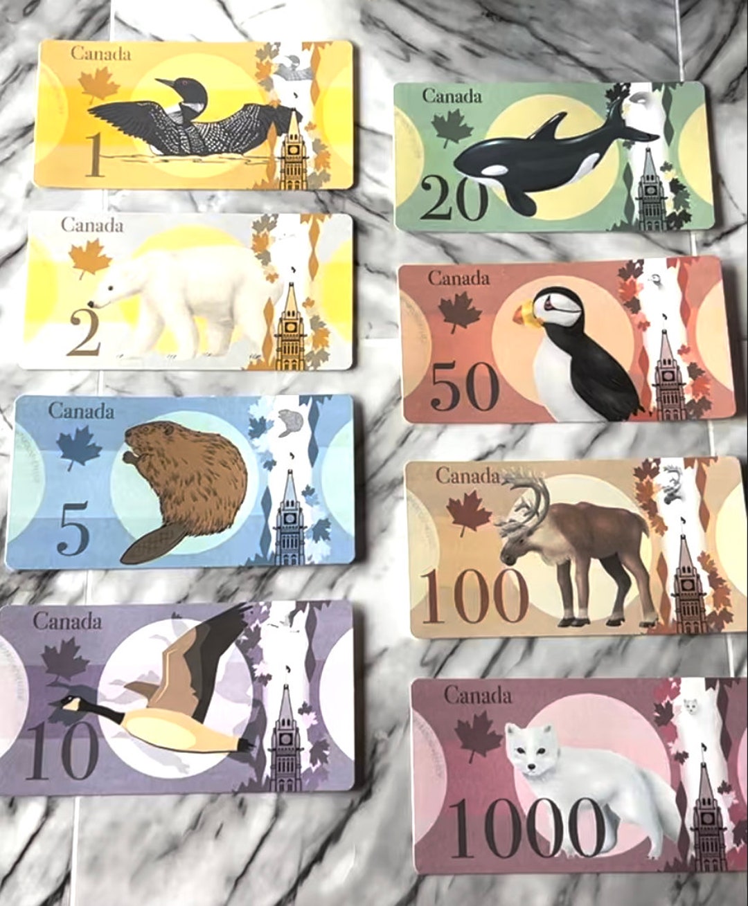 A6 Canadian Play Money Place Holders Funded Envelopes Etsy