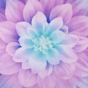 Dream Big Flower Pastel Quilt Panel