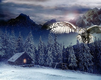 May include: A digital illustration of a snowy winter landscape featuring a flying owl with outstretched wings. The scene includes snow-covered pine trees, a small cabin with a lit window, and mountains in the background. The sky is a mix of dark blue and gray.
