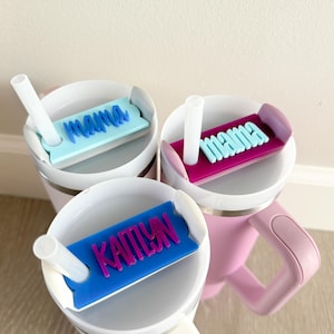 Placa de identificación para vaso Stanley de neón, 40 oz, 30 oz, 20 oz Stanley Topper, etiqueta de identificación, placa de identificación personalizada para tapa de vaso Quencher H2.0 SOLAMENTE