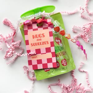 Hugs and Squeezes, Valentine Printable, Squeeze Pouch Valentines Tag, Preschool Classroom Vday Treat, Daycare Non Candy Valentines, Vday Tag