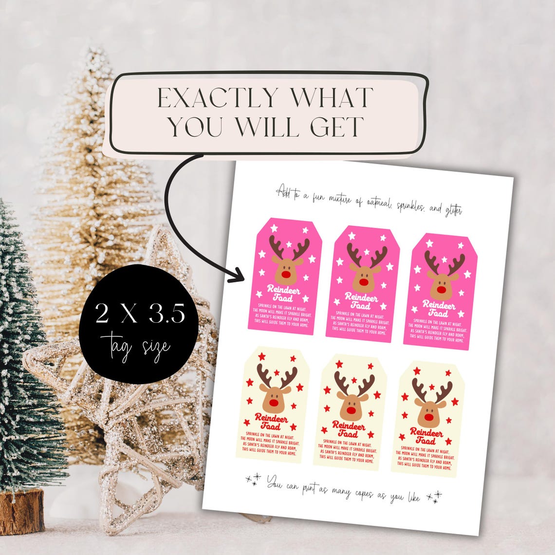 Tagholidayfeed