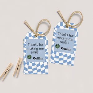Junge Wilde und drei Tag, Junge Geburtstag Party Gunst Geschenkanhänger, blau kariertes Design, druckbarer Geschenkanhänger, bearbeitbare Vorlage, Sofort Download