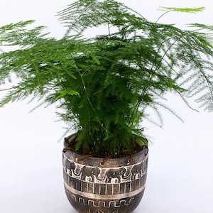 aquarium kaktus Reptile Plants Aquarium Resin Artificial Cactus Terrarium Decor Hideou   mickcara