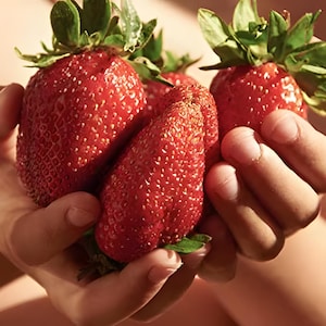 Könnte beinhalten: Drei reife rote Erdbeeren, die in den Händen einer Person gehalten werden. Die Erdbeeren sind frisch und haben grüne Blätter.