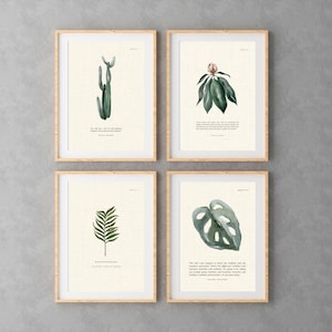 Real Housewives Wall Art BUNDLE | 4 Digital Poster Prints | Inspirational Quotes | Gift for Her, Office Desk Decor