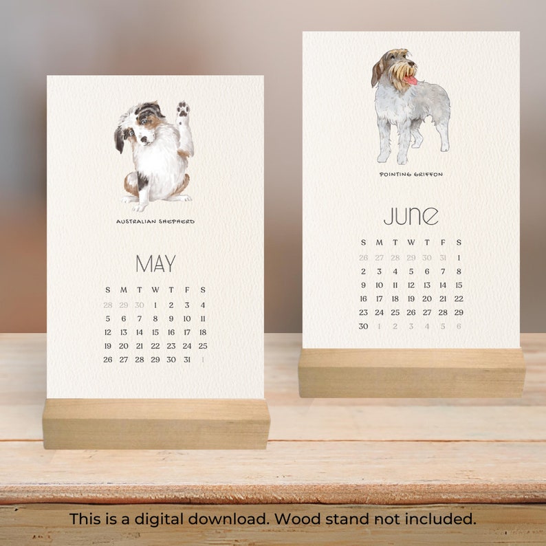 Desk Calendar 2024, Fridge Calendar, Aesthetic Office Decor Dog