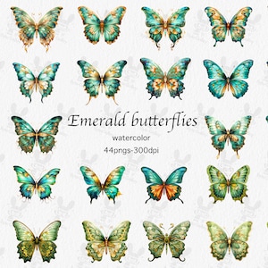 Aquarela Emerald Monarch Butterfly Floral Clipart - Green Butterfly Floral, borboletas e flores, PNGs download instantâneo, uso comercial