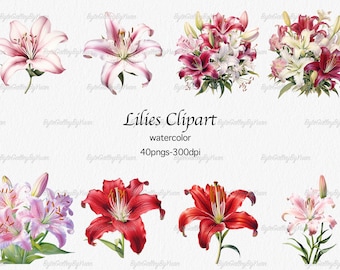 High quality Lilis Clipart | Watercolor Lily PNG | Floral PNG | Spring Clipart |Flowers Clipart |Wedding Invitation |Transparent Background
