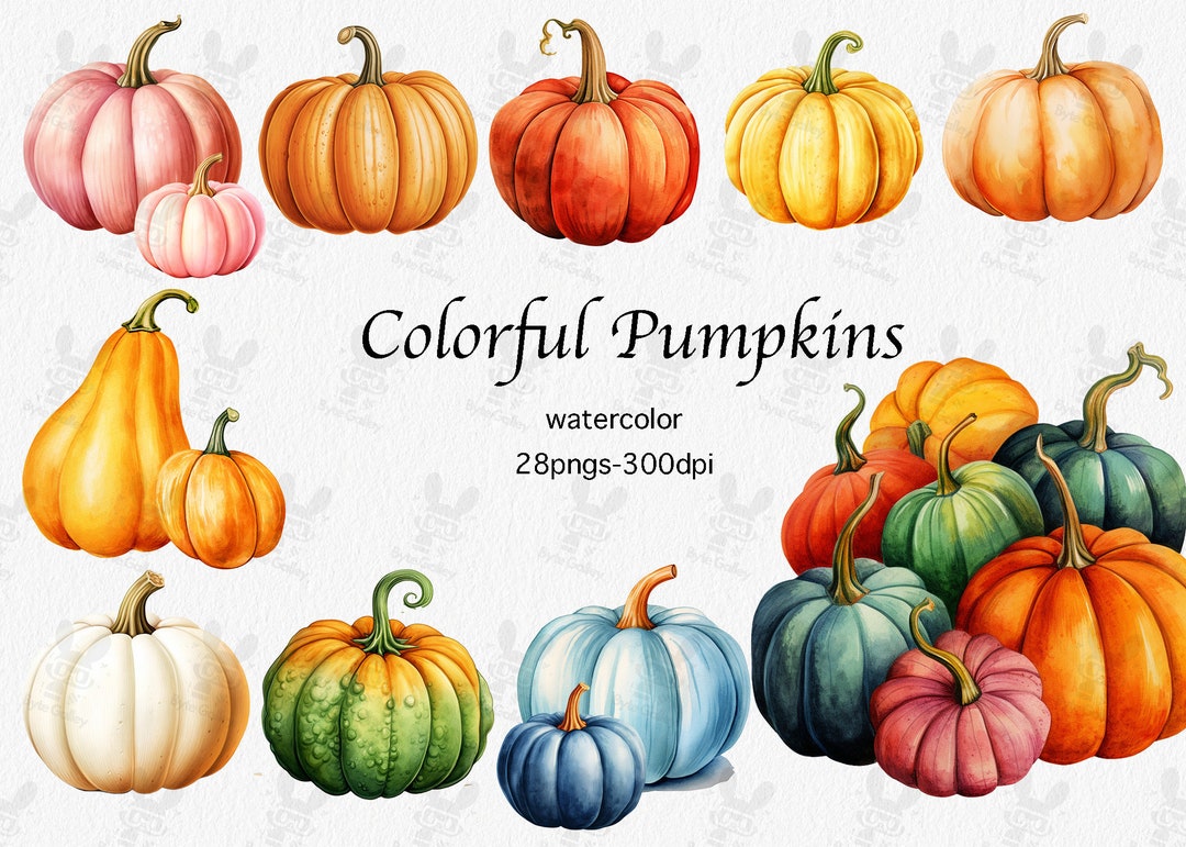 Watercolor Pumpkin Clipart: Fall Harvest PNG Bundle (commercial Use) - Etsy