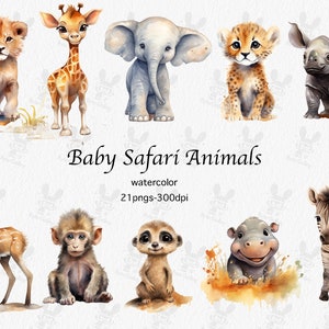 Aquarel Baby Safari Dieren PNG | Baby dieren clipart | Jungle Dieren | Safari kwekerij decor | Kwekerij kunst aan de muur | Leuke safaridieren