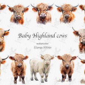 Baby Hooglandkoe PNG | Hooglandkoebaby | Hooglandkoeienkwekerij | Koe kunst aan de muur | Kinderkamer kunst aan de muur | Babydieren | Aquarel clipart