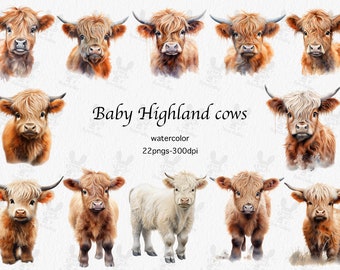 Watercolor Baby Highland Cow Clipart: 21 PNG Illustrations (Digital Download)