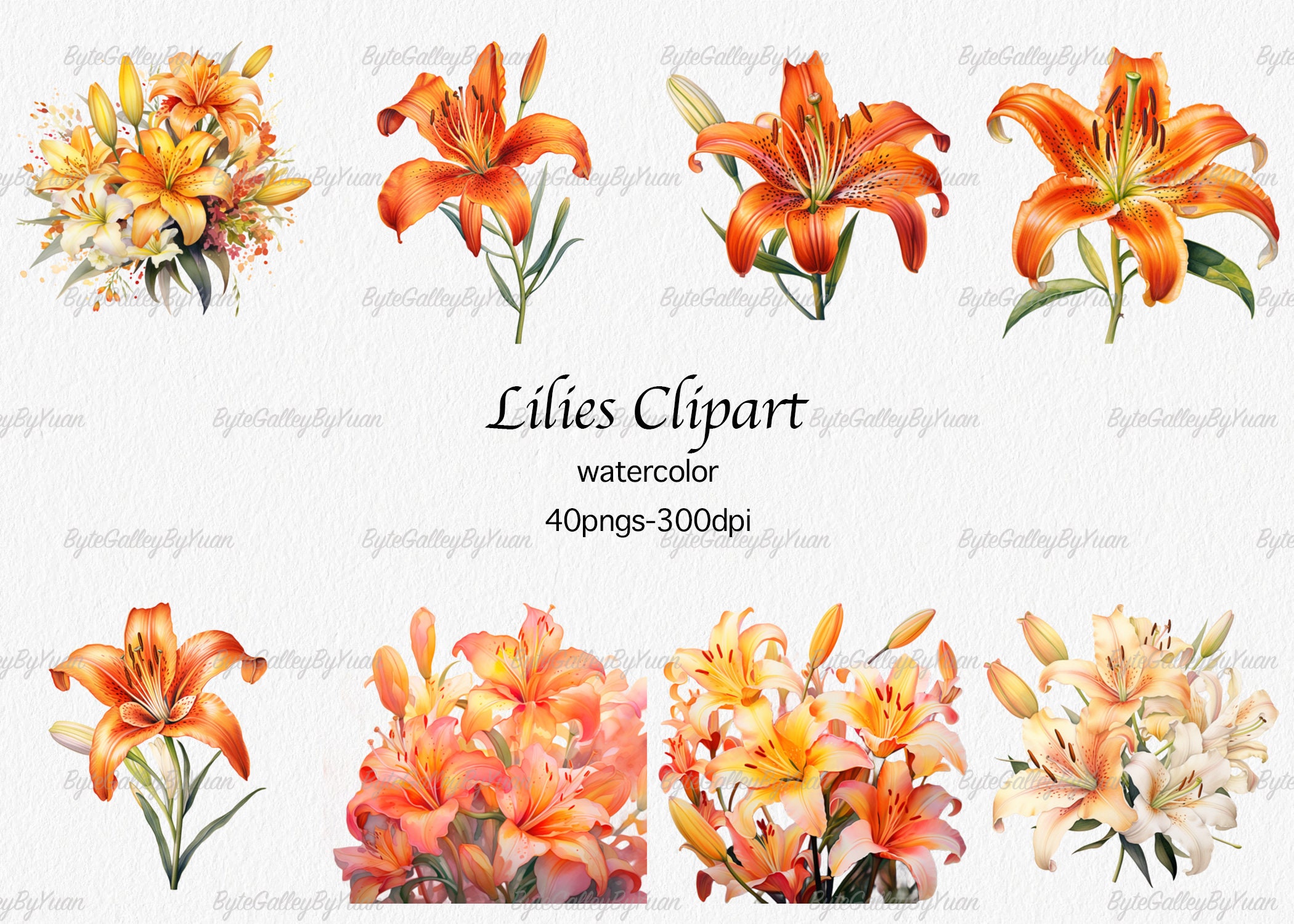 High Quality Lilis Clipart Watercolor Lily PNG Floral PNG - Etsy