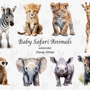 Aquarela Bebê Safari Animais PNG | Clipart de animais bebê | Animais da selva | Decoração de berçário Safari | Arte da parede do berçário | Animais fofos de safári